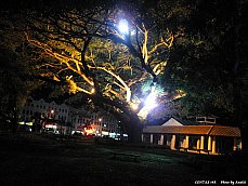 06.01.16.Melaka.Park.Night1.jpg