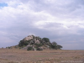 0815_Serengeti-3.jpg
