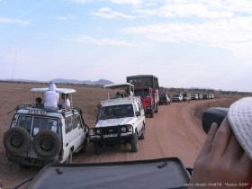 0816_Serengeti-20.jpg