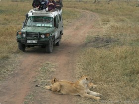 0816_Serengeti-28.jpg